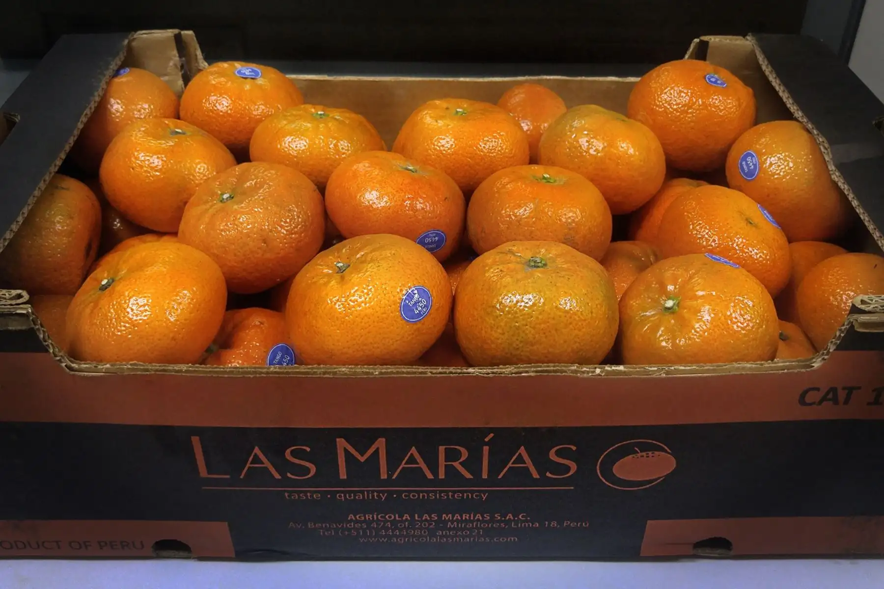 Mandarina peruana de exportación.