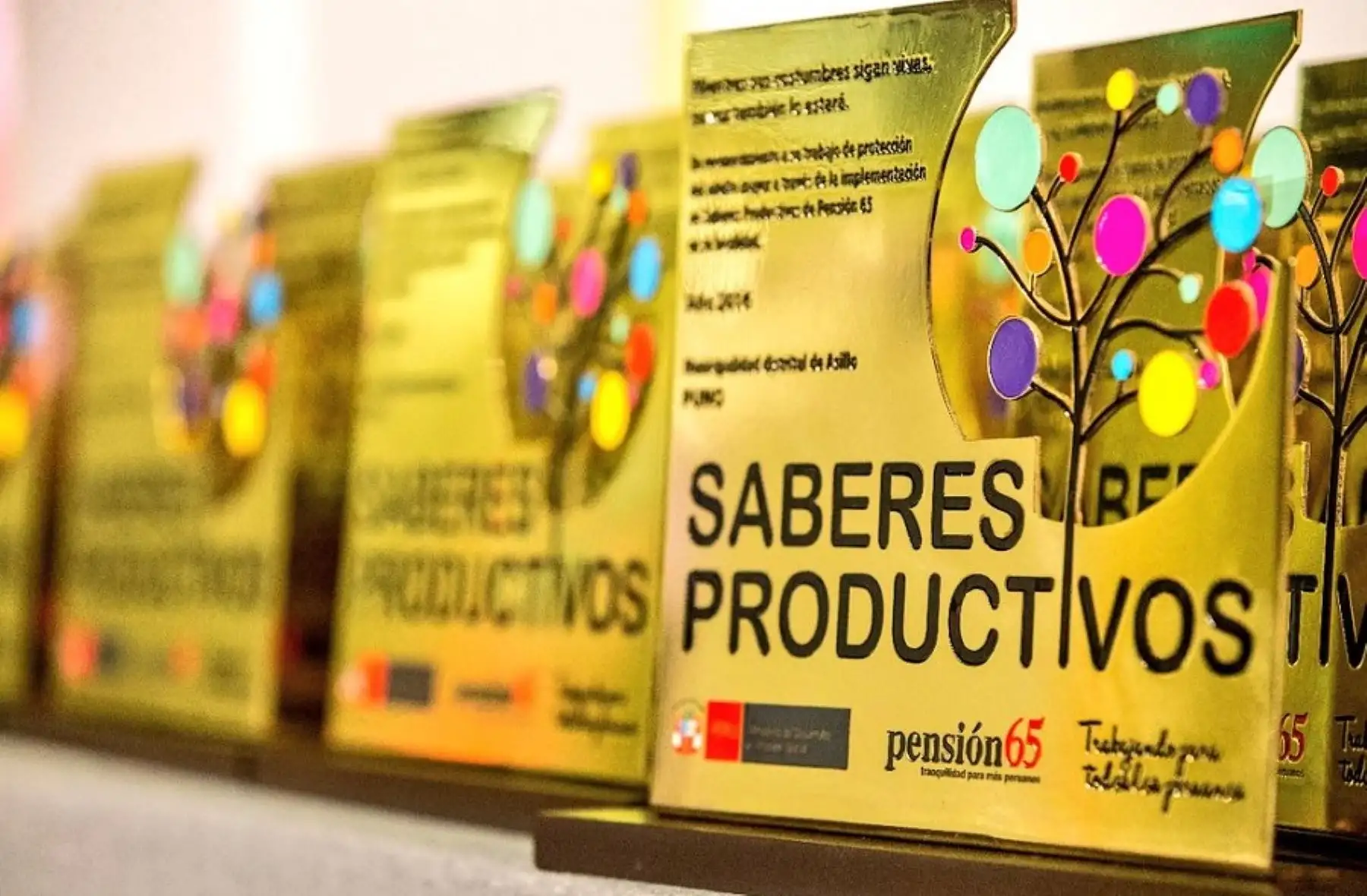 La iniciativa Saberes Productivos, del Programa Nacional de Asistencia Solidaria Pensión 65, proyecta beneficiar a 70,000 adultos mayores de todas las regiones del país durante el 2018 y a más de 90,000 en el 2019, anunció hoy la titular del Ministerio de Desarrollo e Inclusión Social (Midis), Fiorella Molinelli.