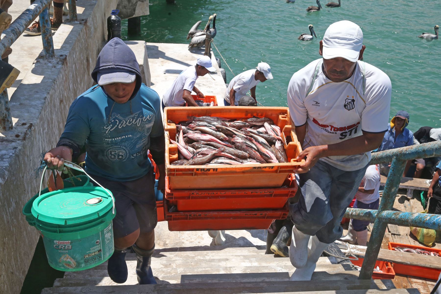 Pescadores artesanales. Foto: ANDINA/Vidal Tarqui