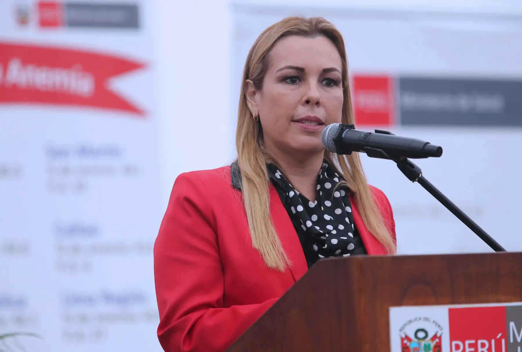 Foto: ANDINA/Norman Córdova.