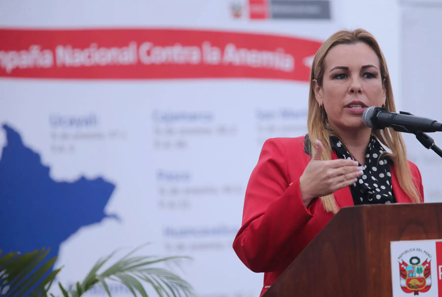 Foto: ANDINA/Norman Córdova.