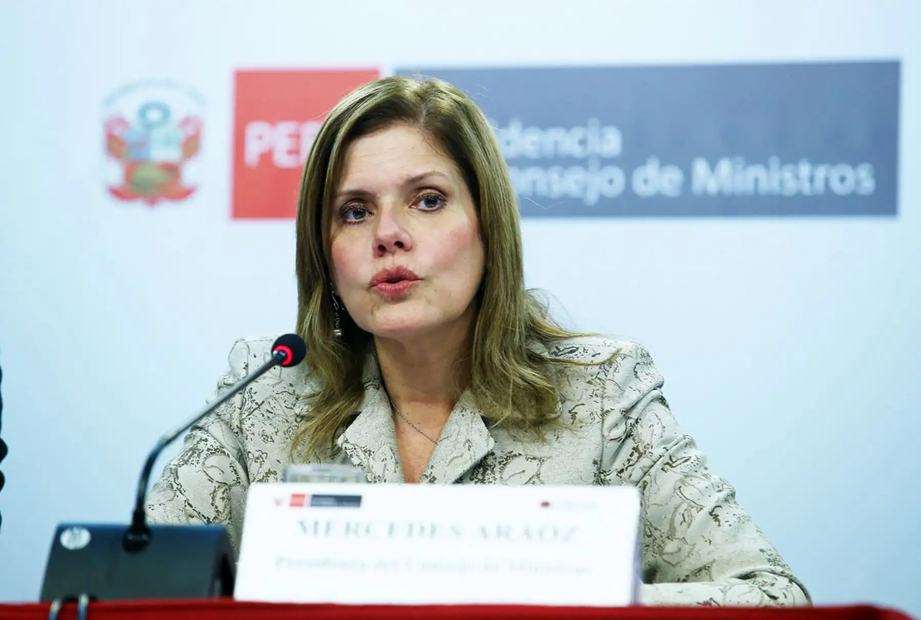 Foto: ANDINA/Melina Mejía.
