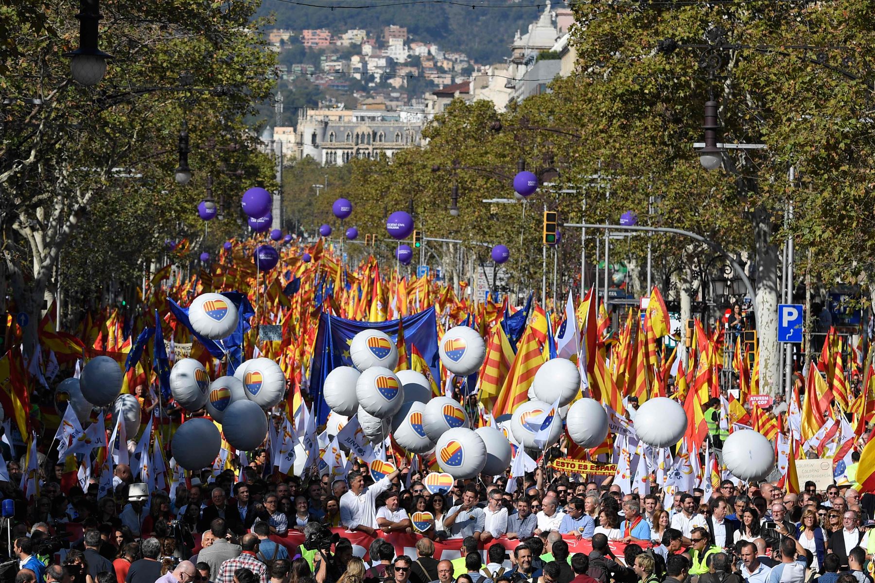Marcha a favor de la unidad en España.