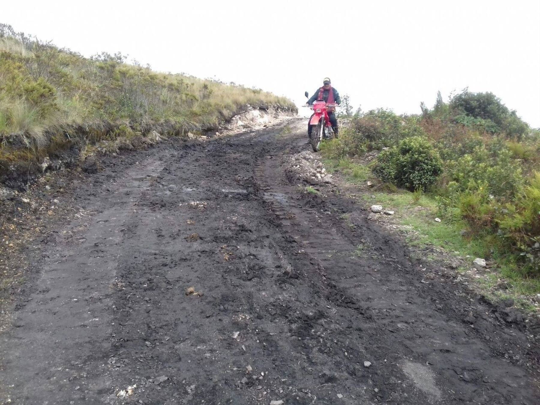 Alertan que construcción de carretera afectará Refugio de Vida Silvestre de Udima, en Cajamarca. ANDINA