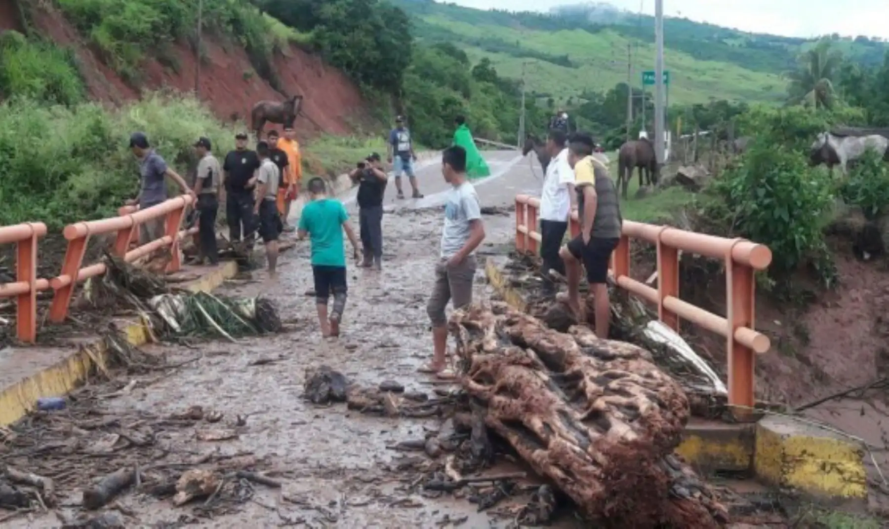 Los efectivos de las diferentes unidades de la Policía Nacional del Perú (PNP) se trasladaron al centro poblado Alfonso Ugarte, jurisdicción del distrito de Shamboyacu, en la provincia de Picota, San Martín, para realizar labores de ayuda frente al desborde del río Ponaza.