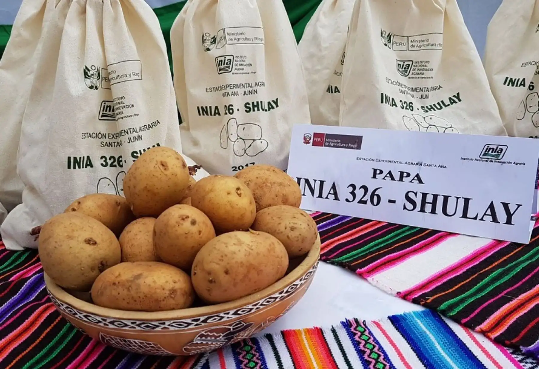 El Ministerio de Agricultura y Riego (Minagri), a través del Instituto Nacional de Innovación Agraria (INIA), puso a disposición de los agricultores del país una nueva variedad de papa denominada INIA 326-Shulay, especial para hacer papas fritas.