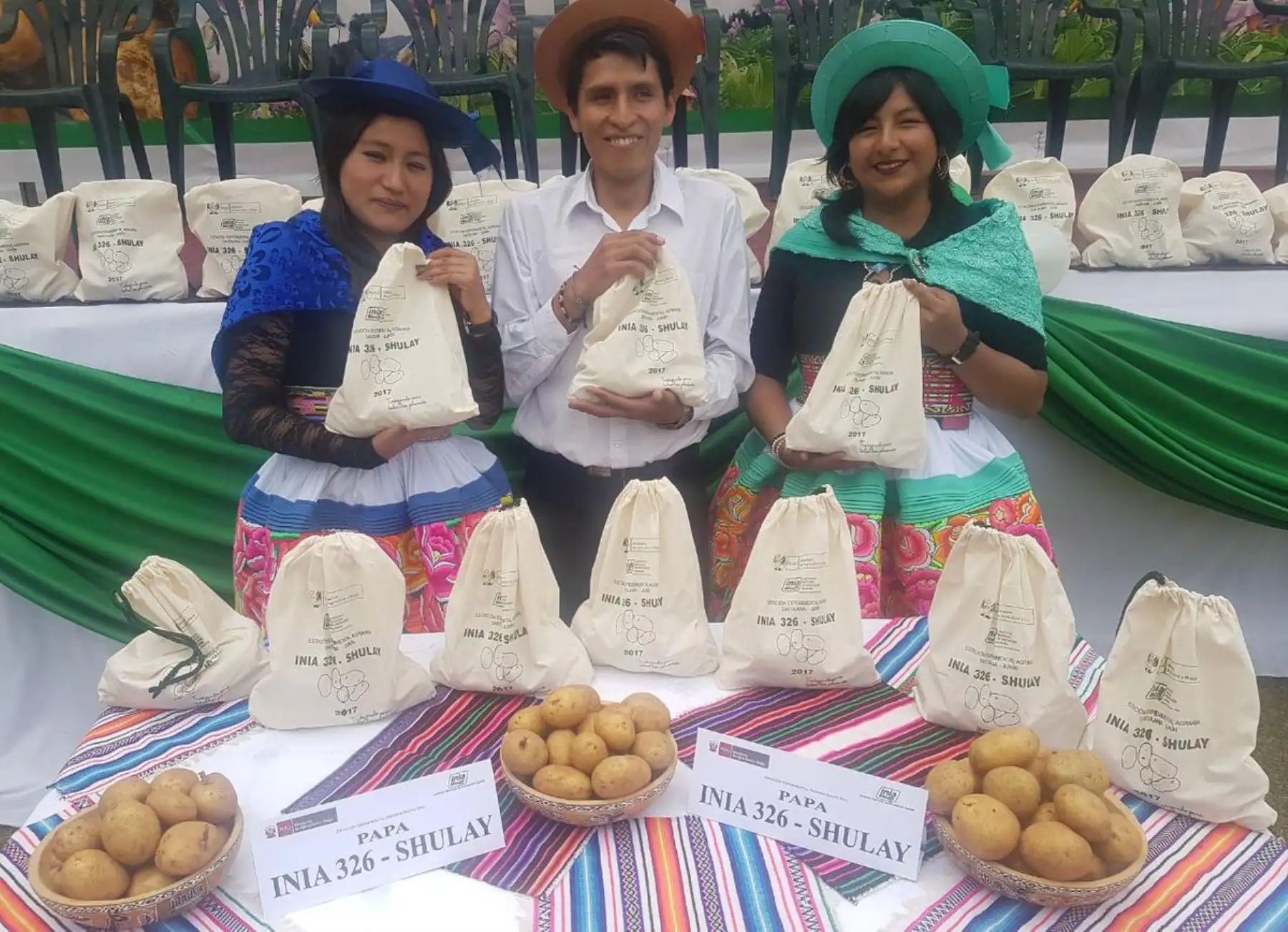 El Ministerio de Agricultura y Riego (Minagri), a través del Instituto Nacional de Innovación Agraria (INIA), puso a disposición de los agricultores del país una nueva variedad de papa denominada INIA 326-Shulay, especial para hacer papas fritas.