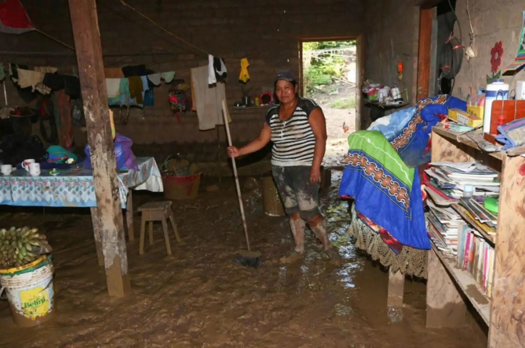 ANDINA/Difusión