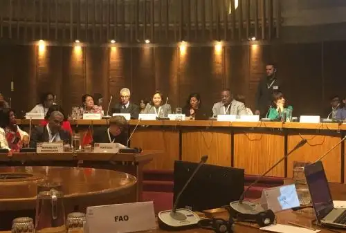 Ministra Ana María Choquehuanca en foro sobre población y desarrollo en Chile.