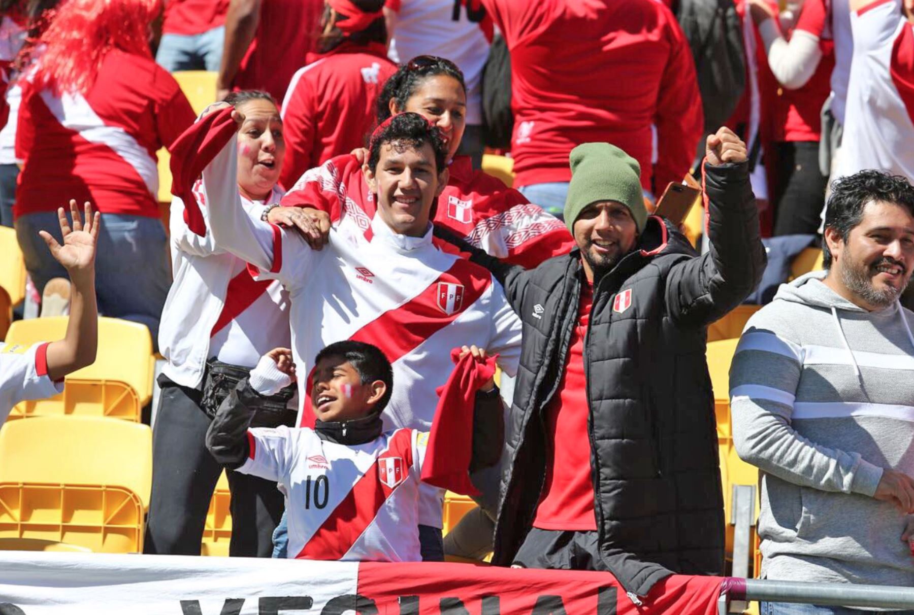 Hinchas peruanos alientan a la selección en el Westpac Stadium de Wellington. Foto: ANDINA/FPF