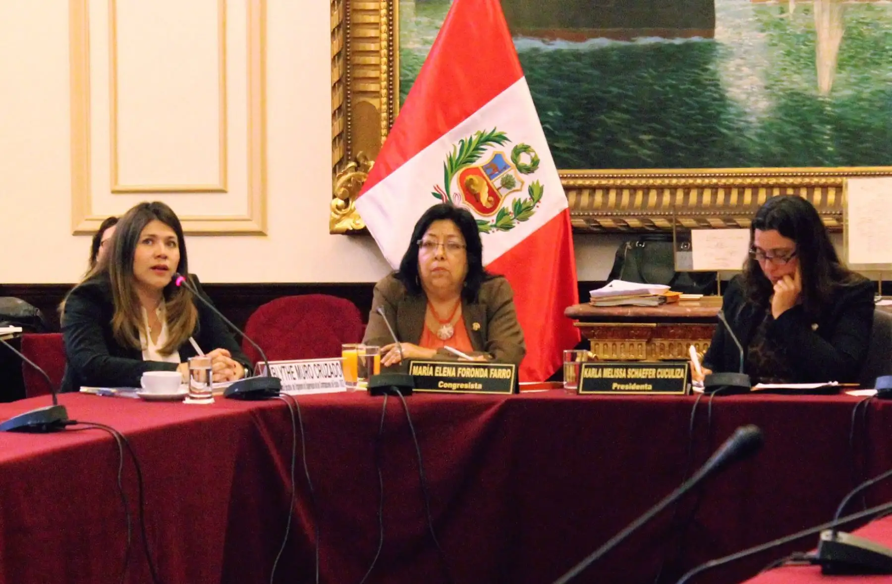 Titular del OSCE, Blythe Muro Cruzado, en el Congreso. Foto: Cortesía