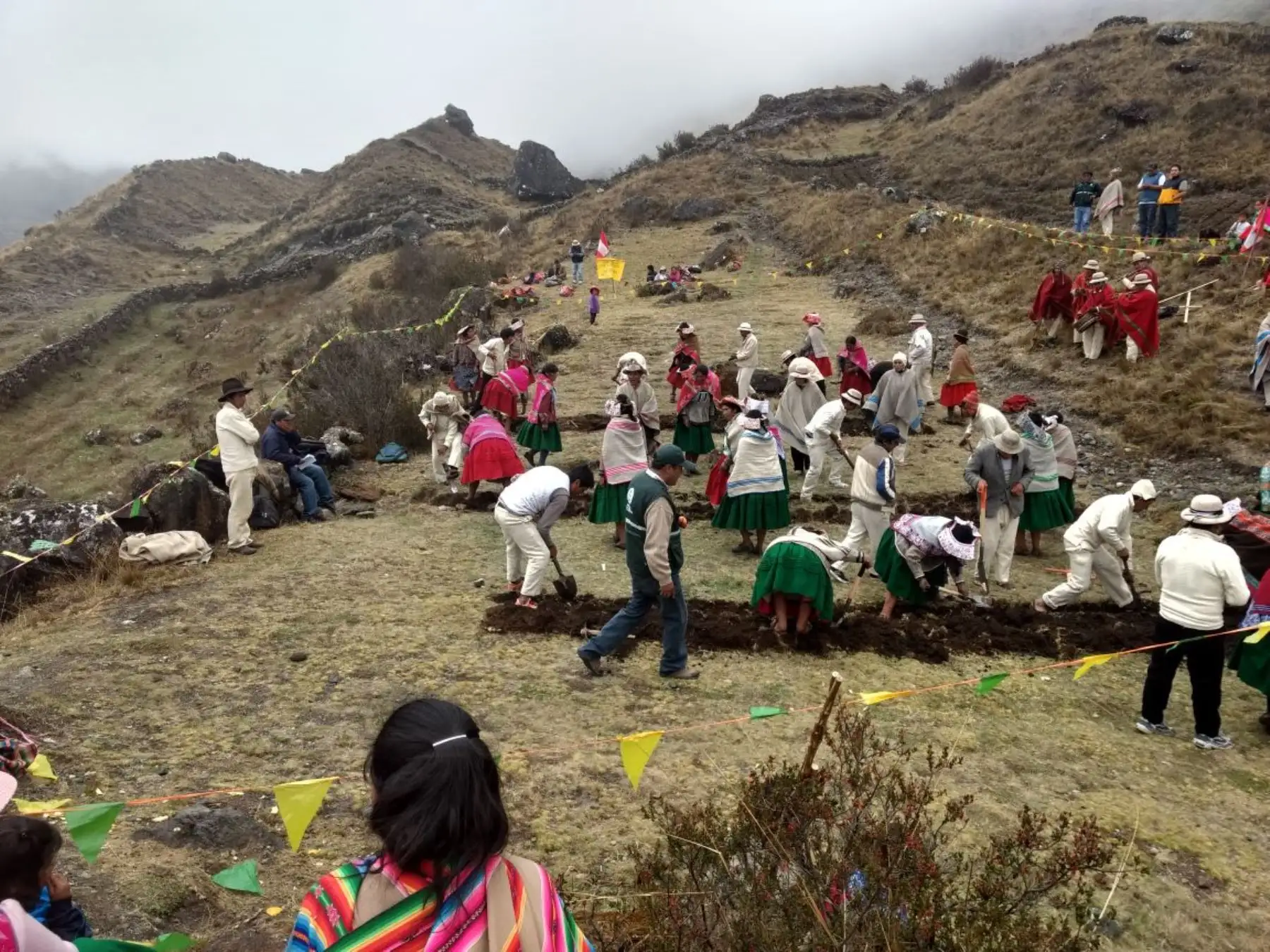 Comunidades de Puno construyen diques y zanjas para conservar agua y suelos. ANDINA/Difusión