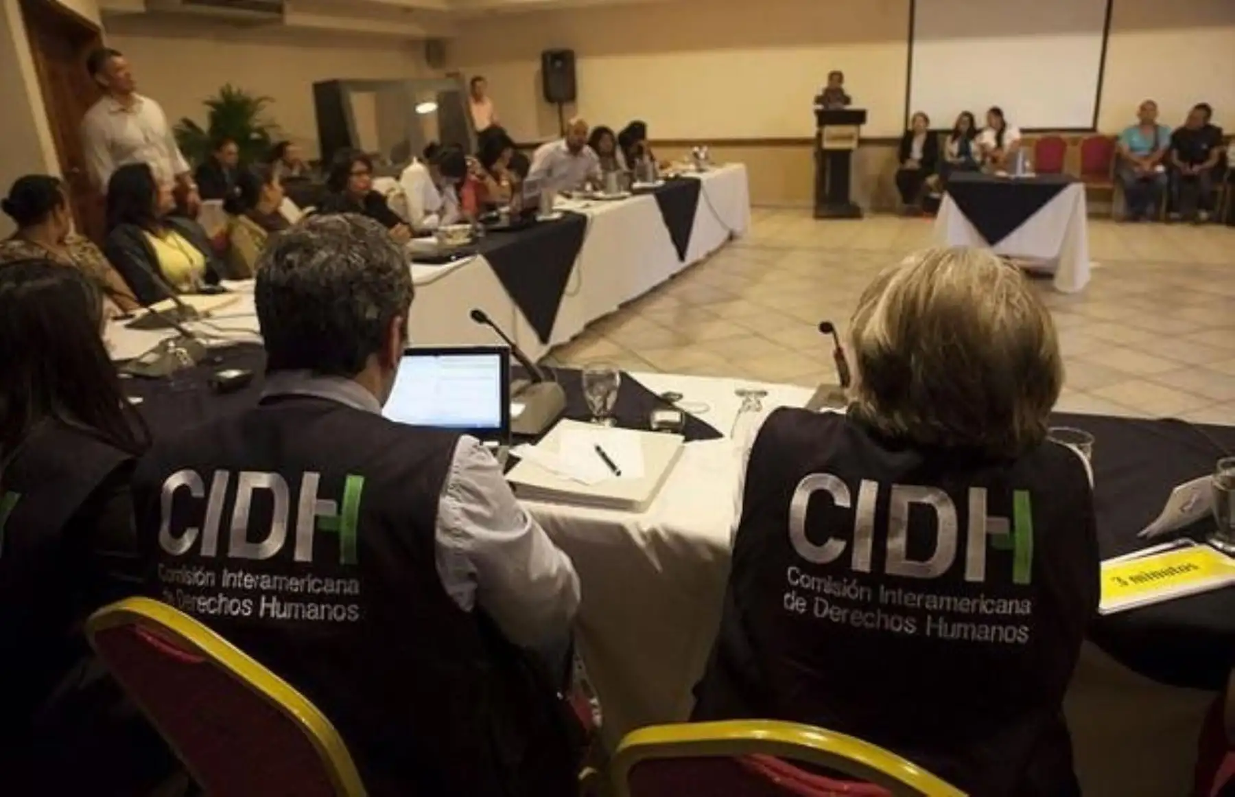 Comisión Interamericana de Derechos Humanos.