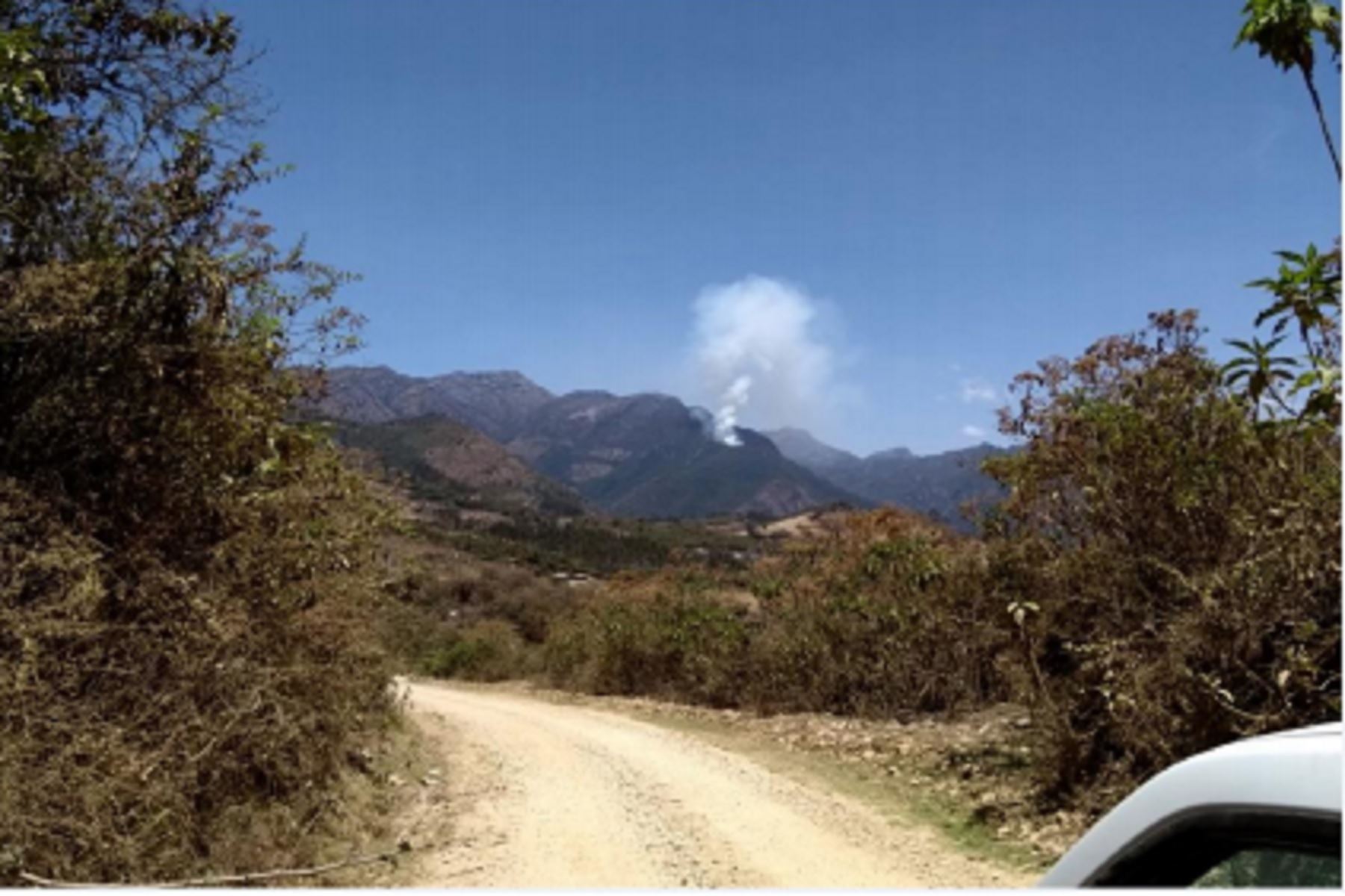 Hasta el momento, el fuego viene afectando 60 hectáreas de cobertura natural en el sector Loma Limpia.