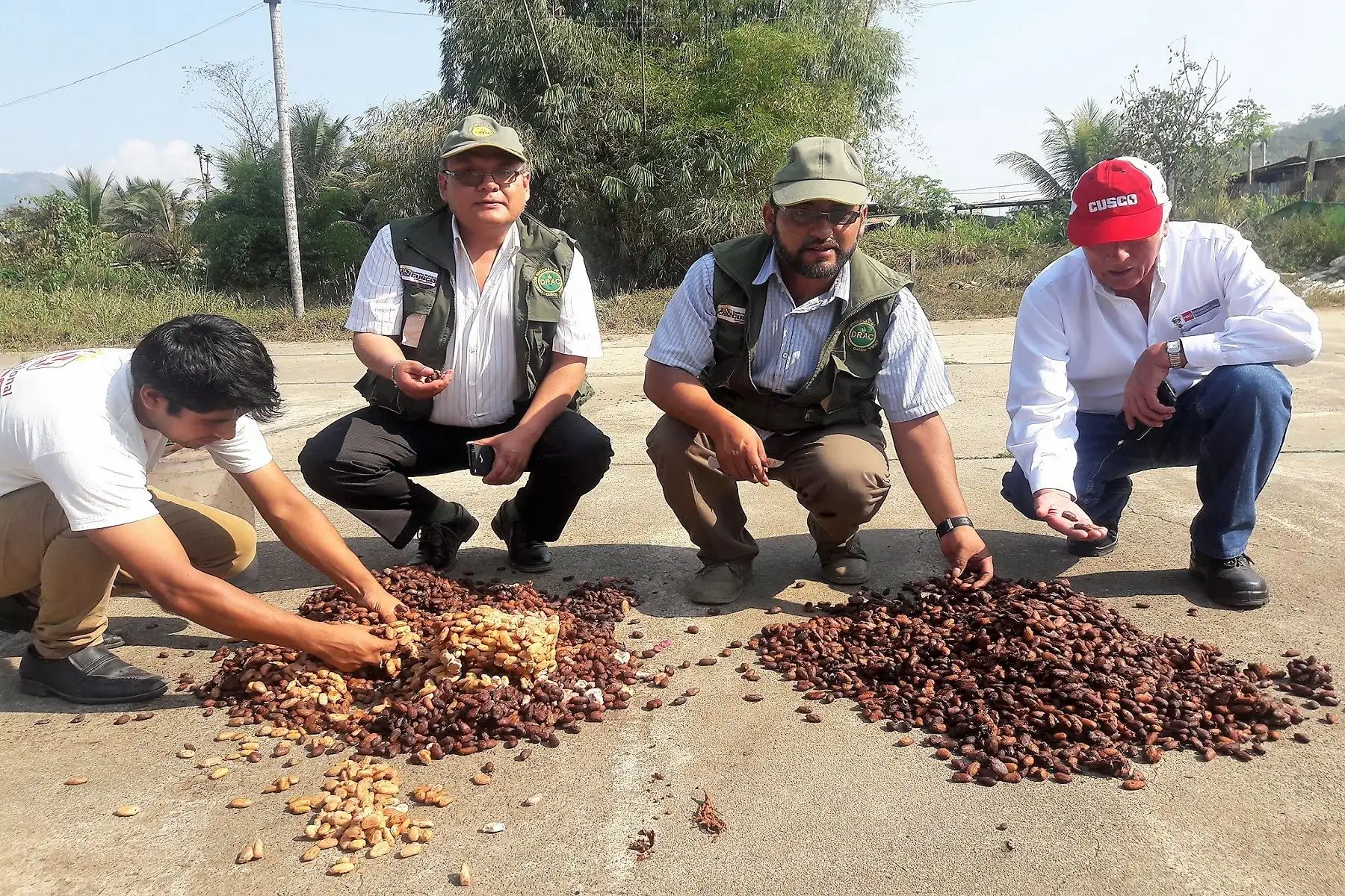 Ingresos por exportaciones de café superan los US$ 25 millones al año. ANDINA/Percy Hurtado
