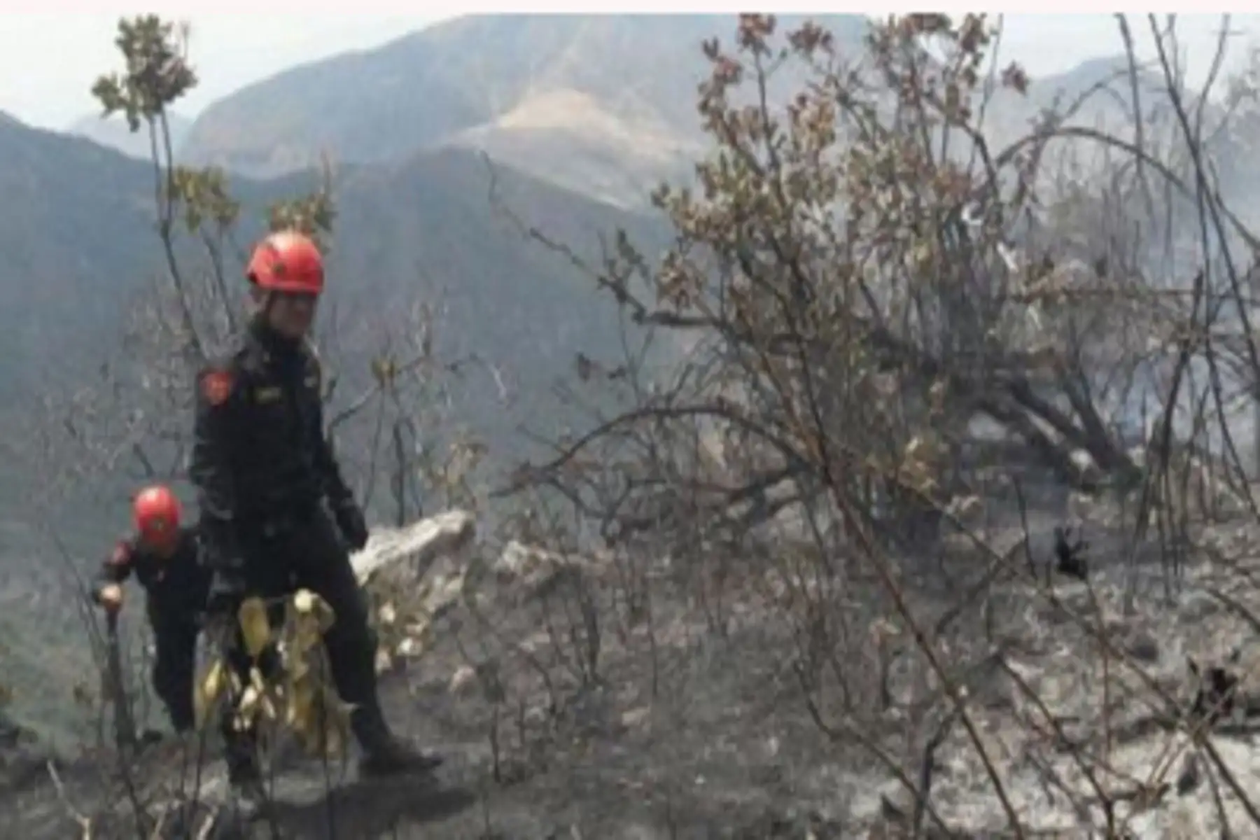 Hasta el momento se han dañado 40 hectáreas de cobertura natural y también se han afectado 88 animales.