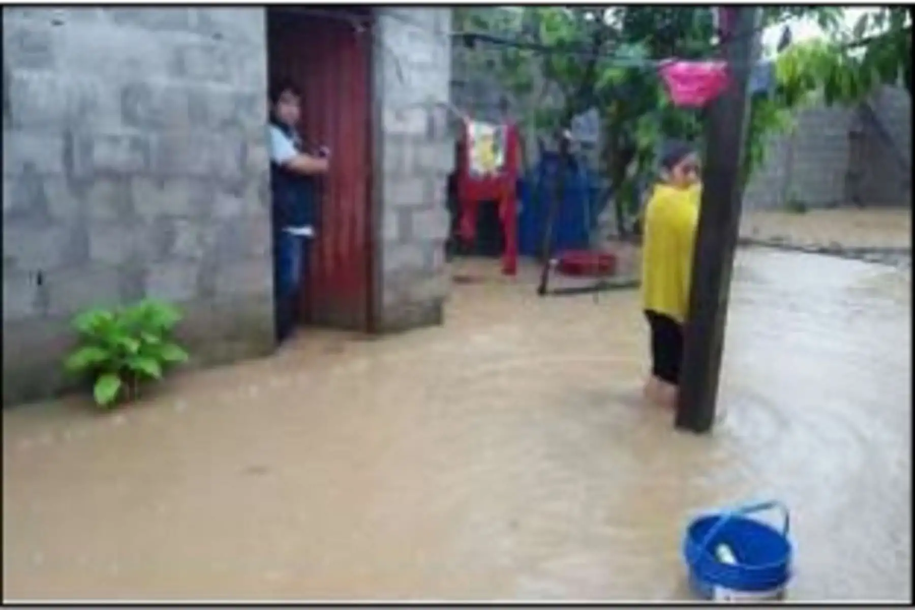 Familias damnificadas y afectadas pertenecen al asentamiento humano de Upis –Continental del distrito Las Piedras, provincia de Tambopata.