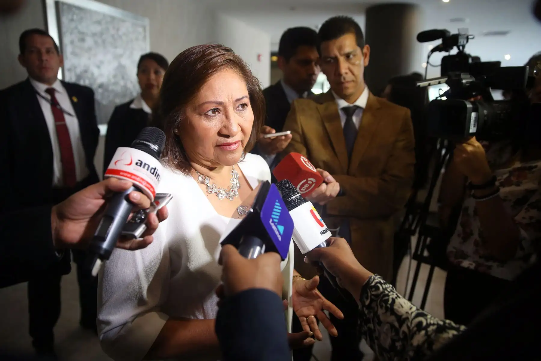Foto: ANDINA/Luis Iparraguirre.