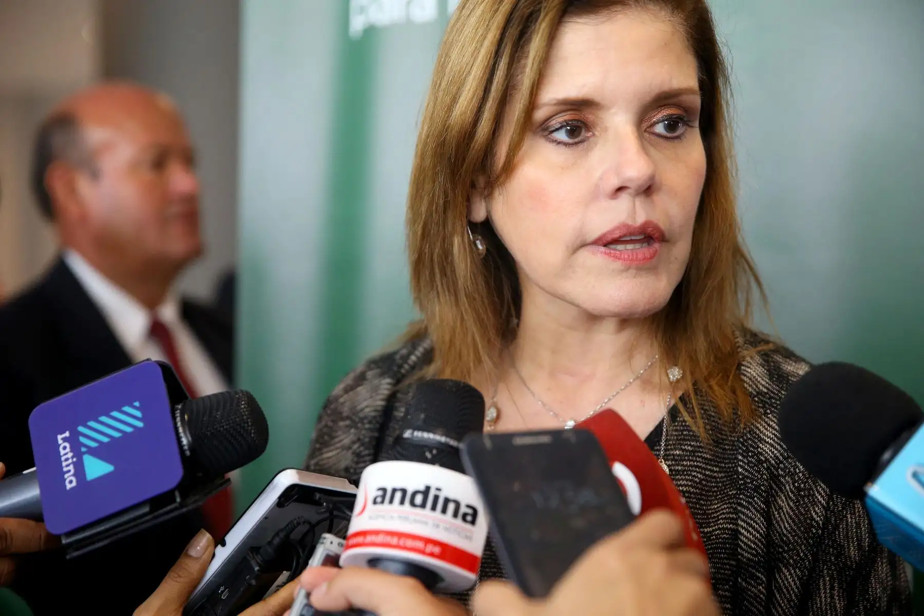 ANDINA/Luis Iparraguirre