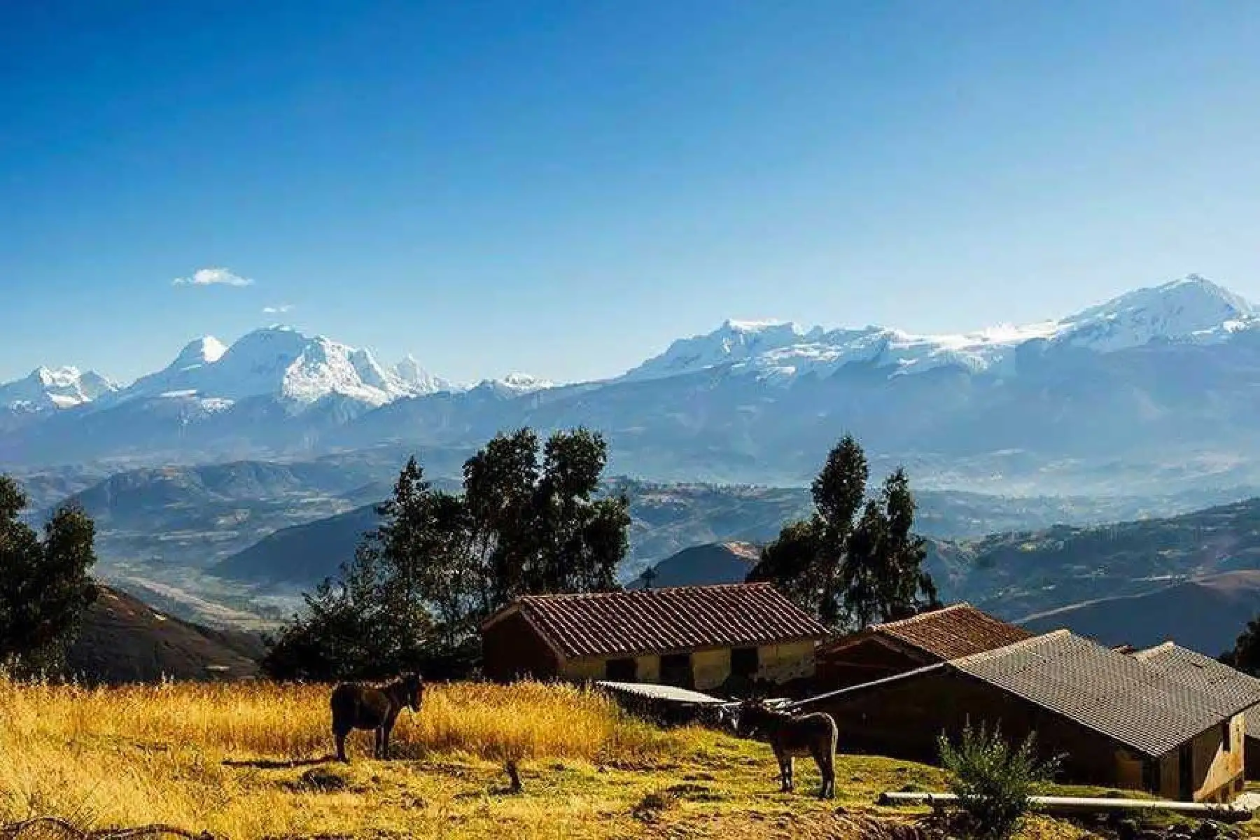 Participarán los países de Argentina, Bolivia, Chile, Colombia, Ecuador, Venezuela y Perú.