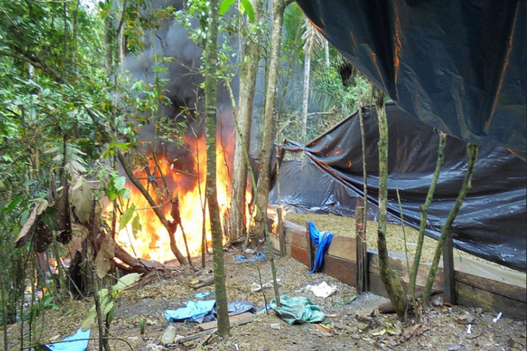 A inmediaciones de la comunidad de San Martín, en el centro poblado Chontabamba, distrito ayacuchano Samugari, los policías hallaron los tres laboratorios acondicionados para macerar 300 arrobas de hoja de coca.