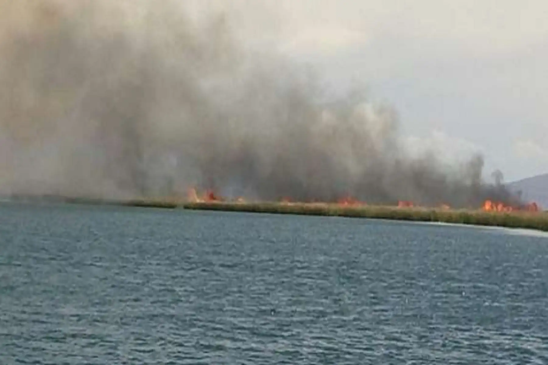 El fuego logró ser sofocado aproximadamente a las 18:00 horas de ayer.