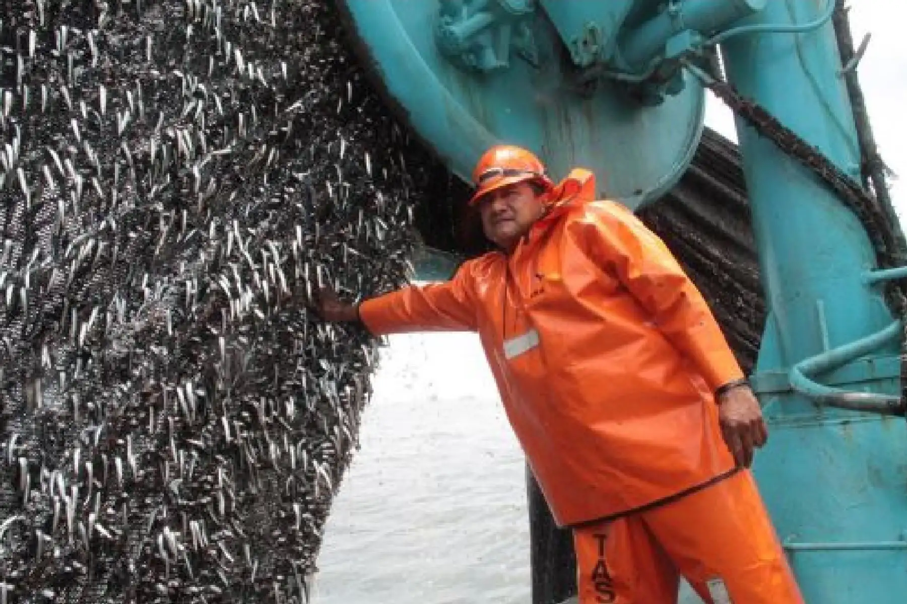 Pesca de anchoveta. Foto: ANDINA