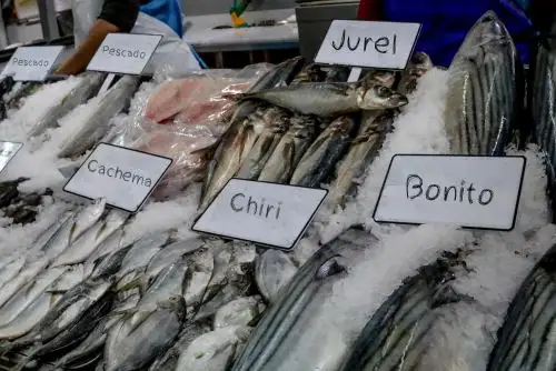 Entre 40% y 50% aumentó el precio de los pescados y otras especies hidrobiológicas en el desembarcadero artesanal de Chimbote, lo que provocó el malestar de las amas de casa que llegaron a este terminal para comprar estos insumos que suelen consumirse con mayor demanda durante el Viernes Santo. ANDINA