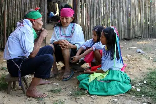Destacan la transmisión de saberes ancestrales de adultos mayores de Pensión 65. ANDINA/Difusión