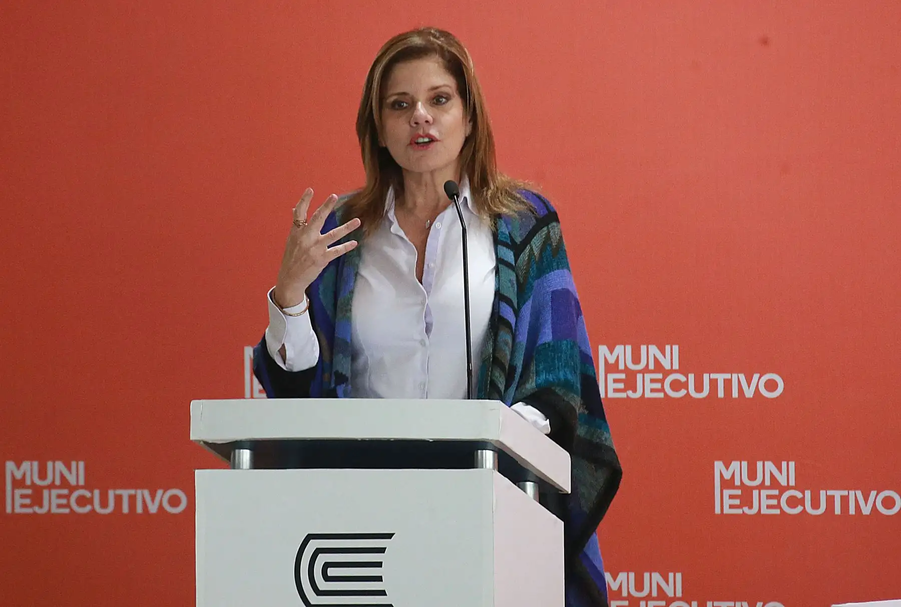 Foto: ANDINA/Vidal Tarqui.