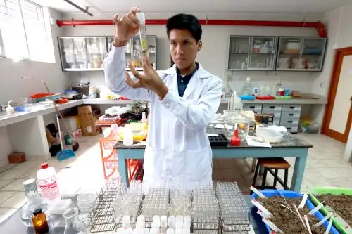Guido Pillaca en el laboratorio donde investiga. Foto: El Peruano
