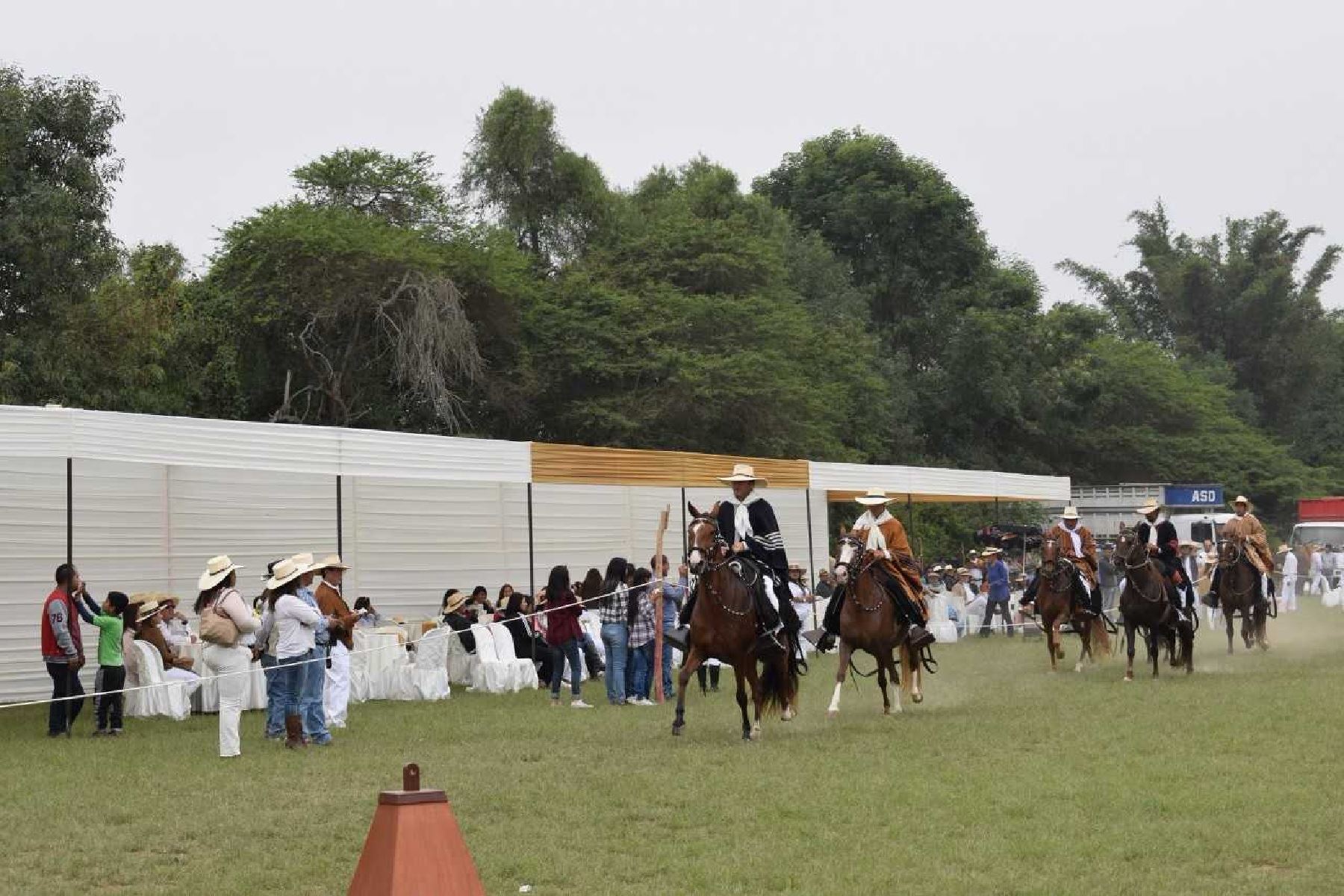 En el X Concurso Provincial de Caballos Peruanos de Paso desarrollado en la Hacienda Huando, participaron en sus diferentes categorías 160 ejemplares (cifra récord e histórico para Huaral)