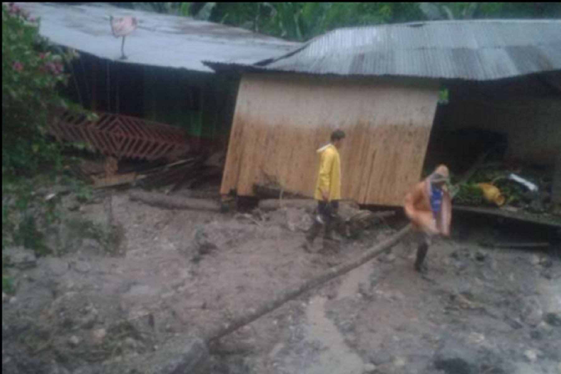 Huánuco: realizan labores de limpieza en viviendas colapsadas por desprendimiento de talud
