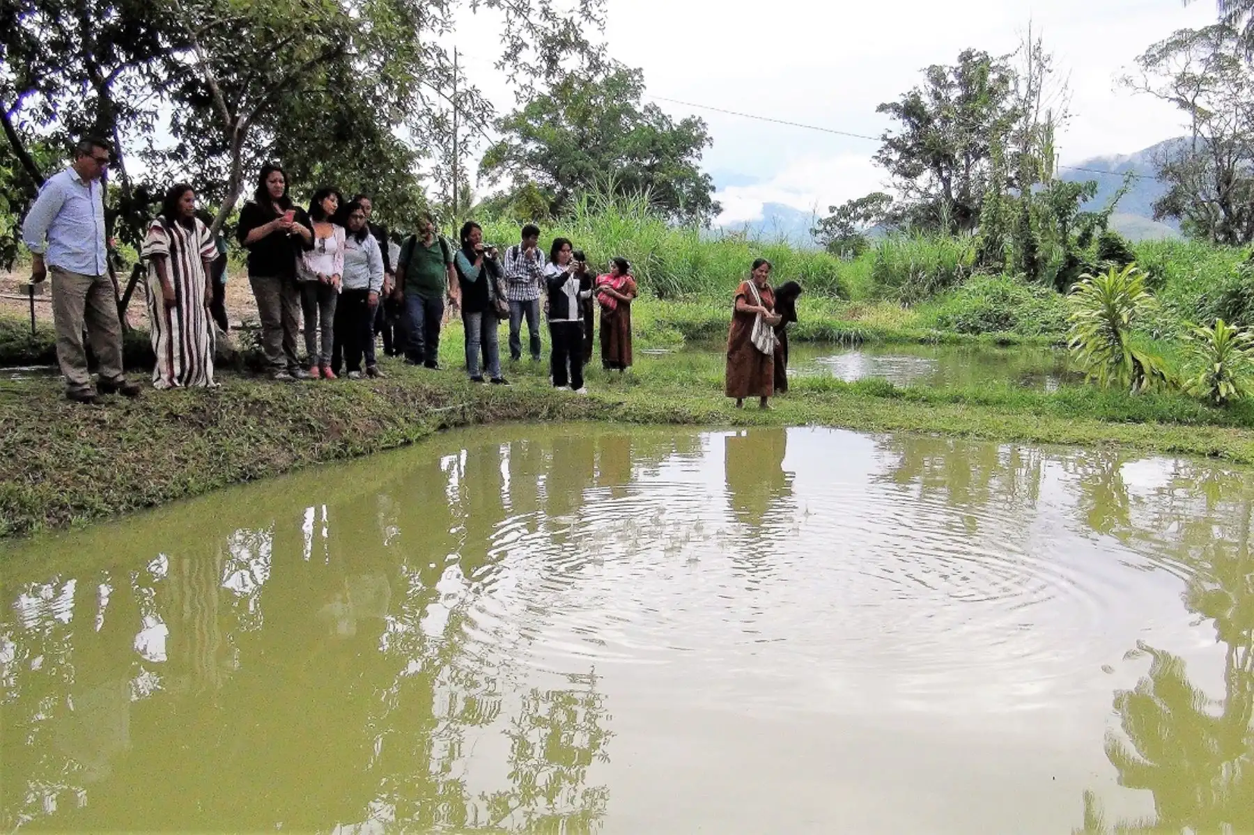 Mujeres asháninkas de Junín generan ingresos con crianza de peces tropicales. ANDINA