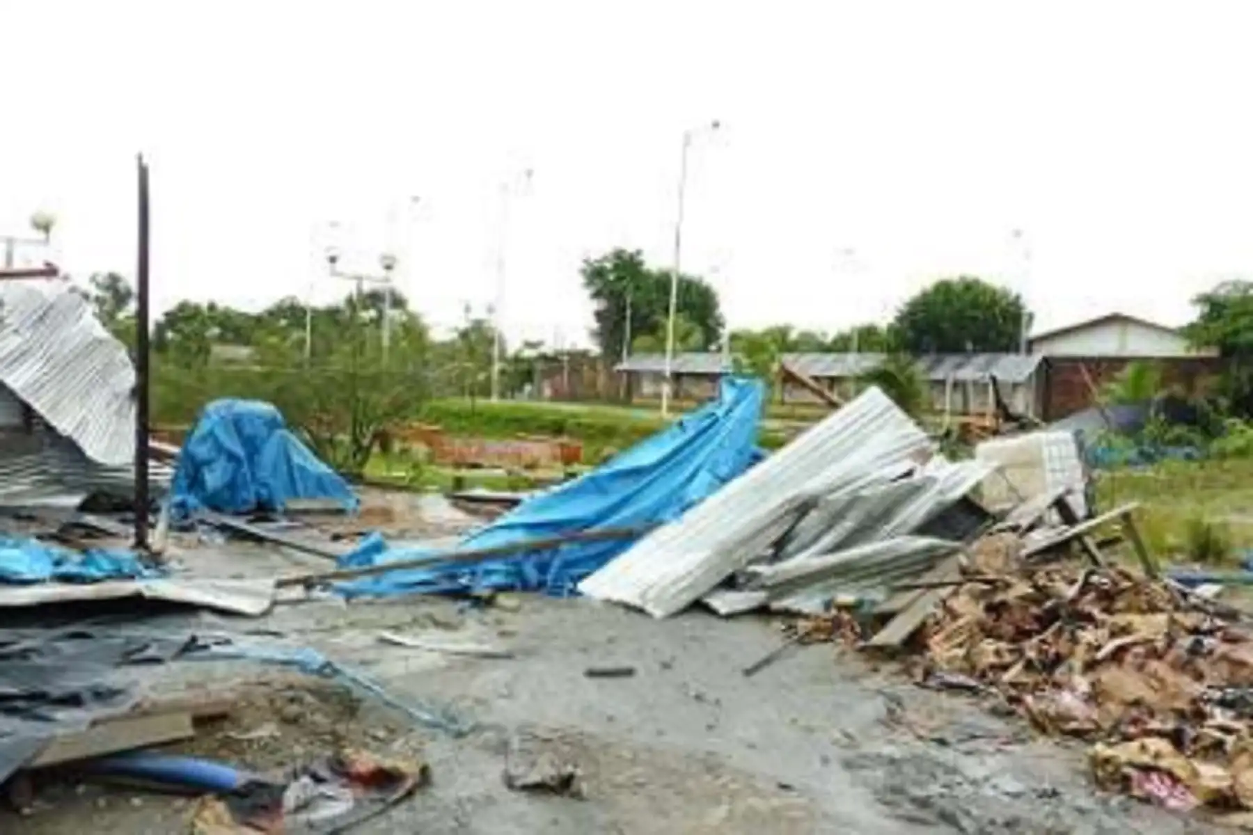 Ucayali: limpian árboles caídos y viviendas afectadas por vientos fuertes en distrito de Raymondi