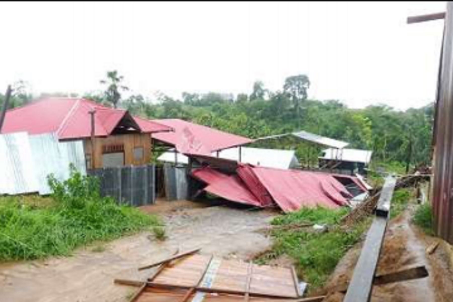 Ucayali: limpian árboles caídos y viviendas afectadas por vientos fuertes en distrito de Raymondi