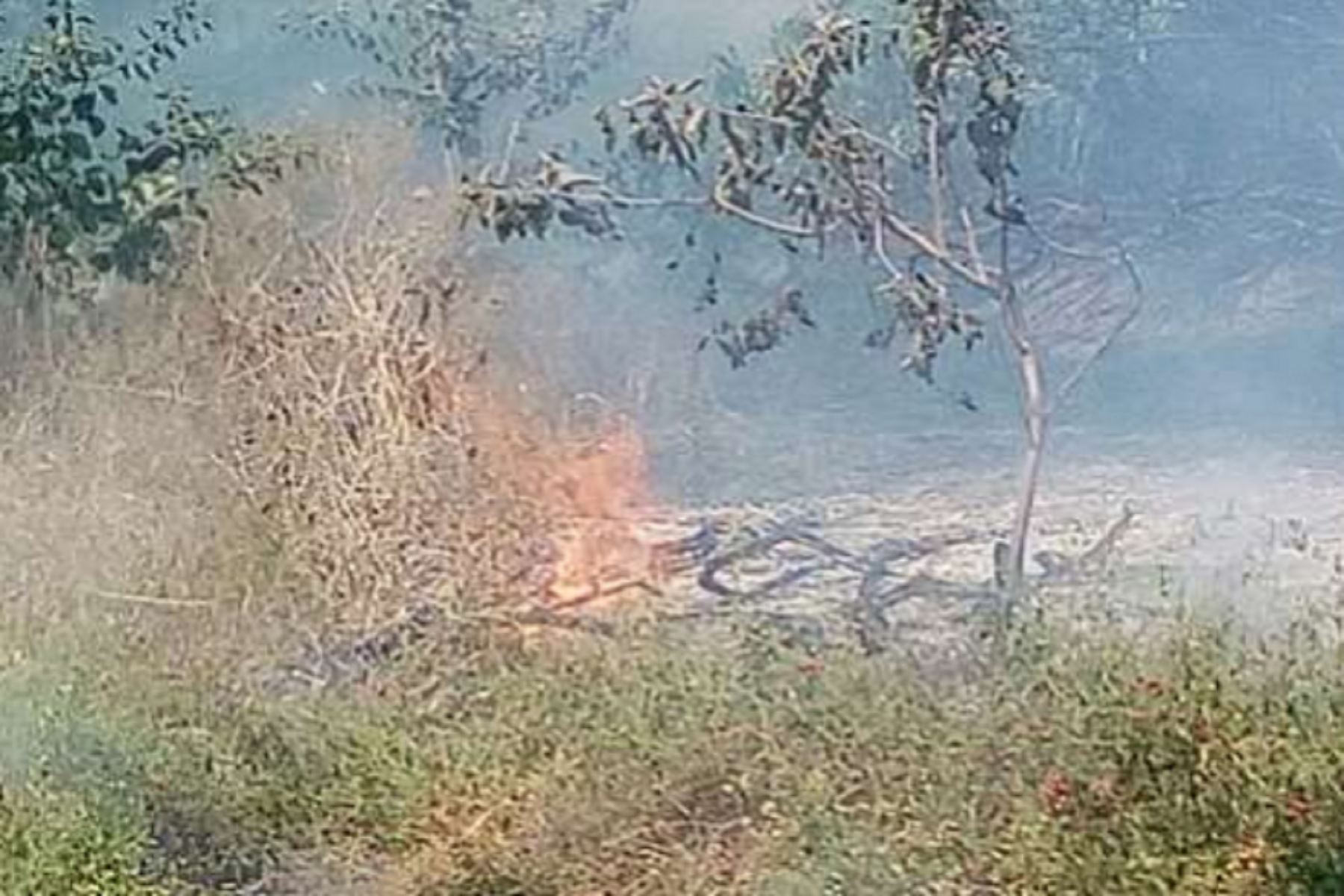 Incendios forestales afectaron a cerca de 400 hectáreas en Lambayeque. ANDINA/Difusión