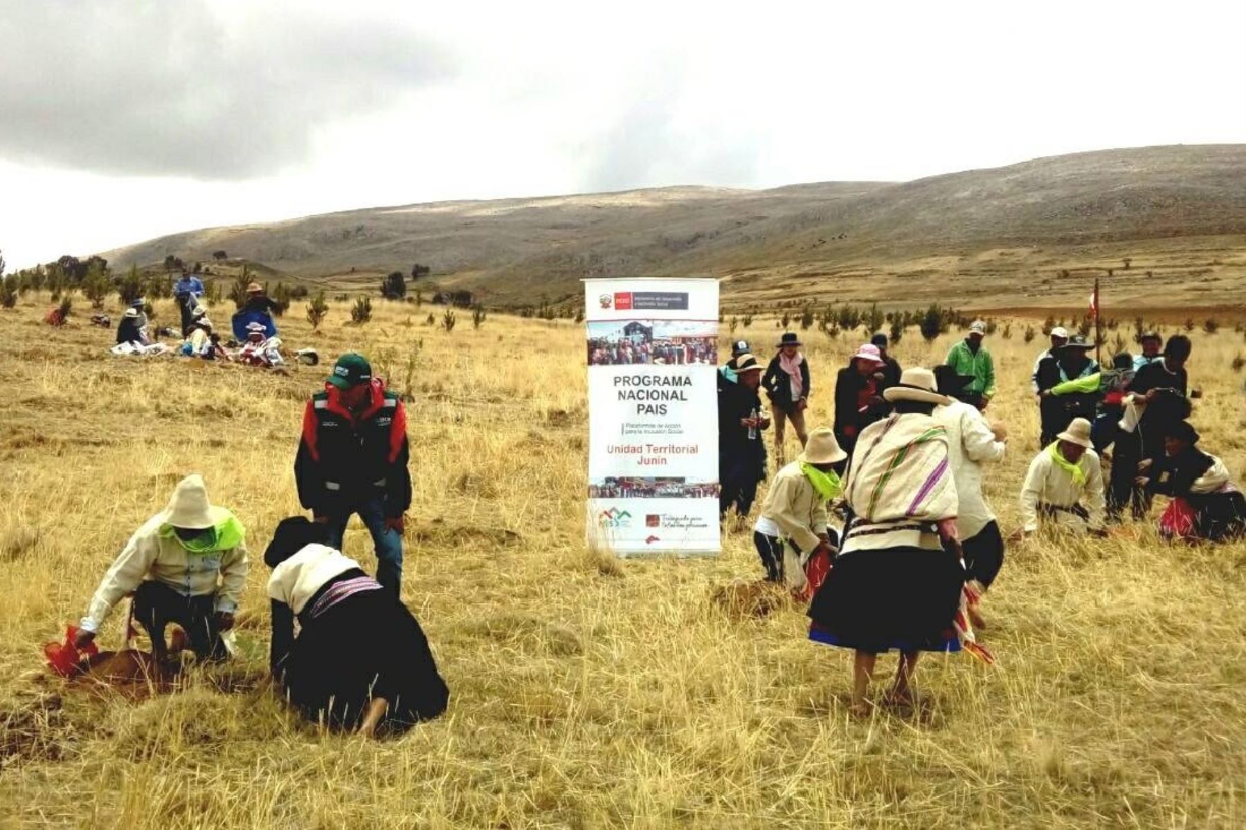 Cusco contará con 63 tambos en el 2018 para atender a zonas rurales, afirma Programa PAÍS. ANDINA/Percy Hurtado