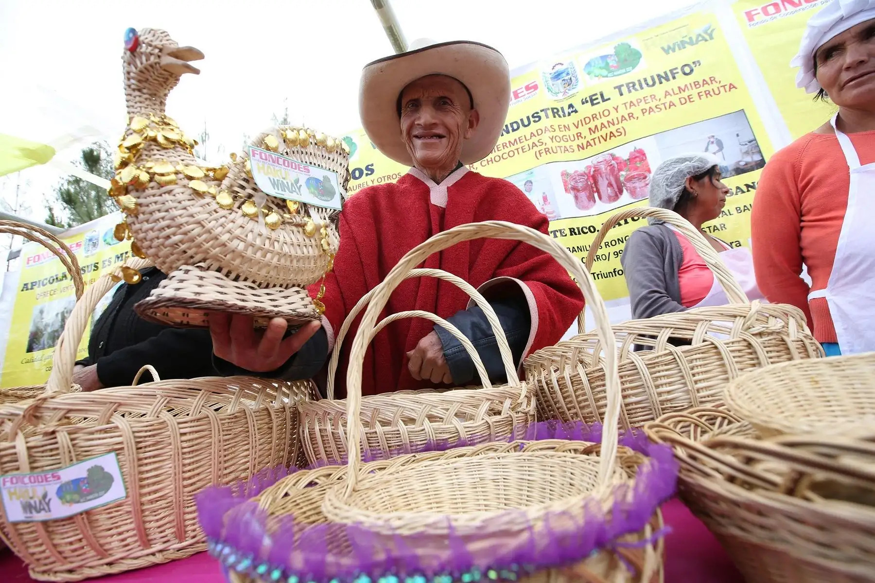 Familias de distrito cusqueño de Ccora ya comercializan el 90% de su producción. ANDINA/Difusión