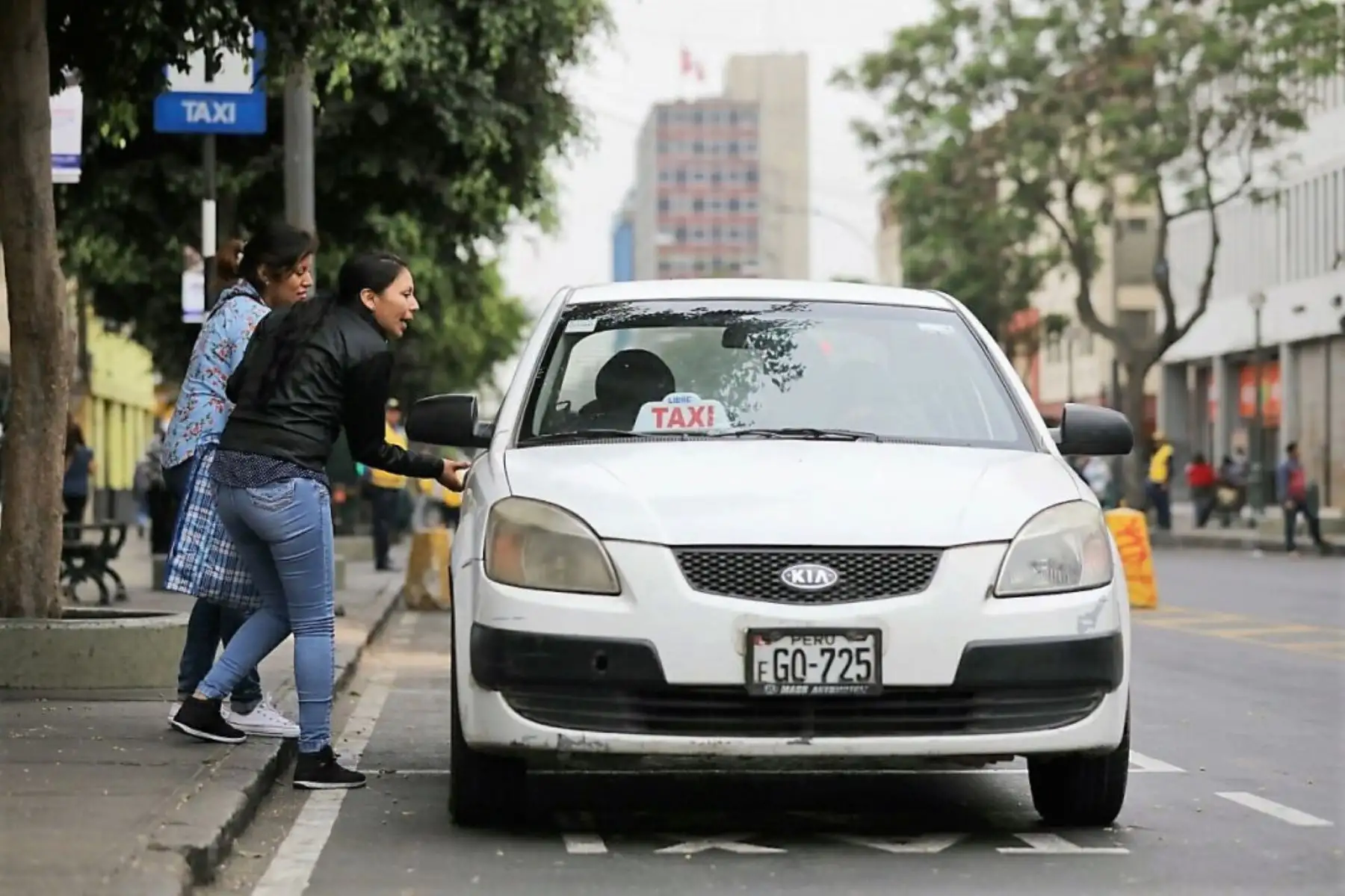 ANDINA/Difusión