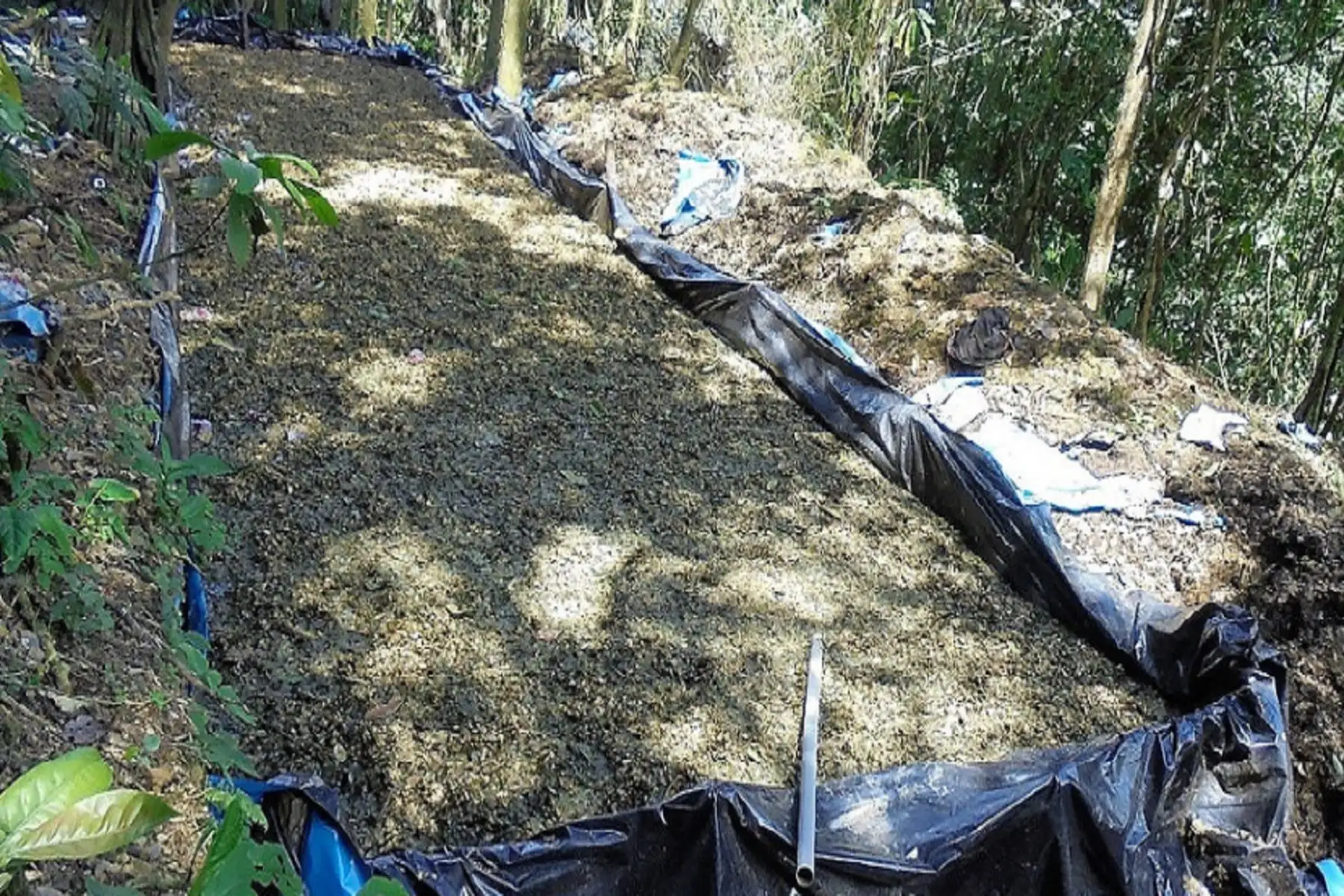 El laboratorio pertenecería los narcotraficantes que tendrían nexos con organizaciones bolivianas y colombianas.