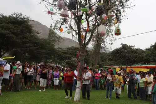 Autoridades se unen para evitar tala del algarrobo, árbol emblemático del bosque seco norteño.