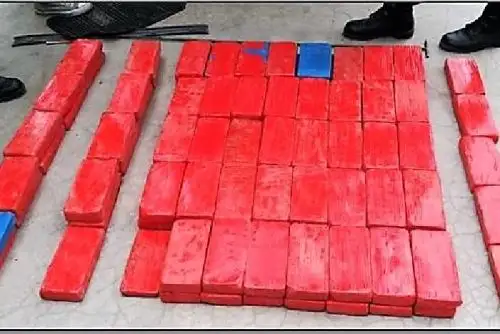 Intervención policial se realizo en empresa Sanfis Group S.A.C., dedicada al transporte de carga. ANDINA/Difusión