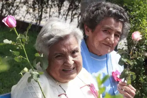 ANDINA/Difusión