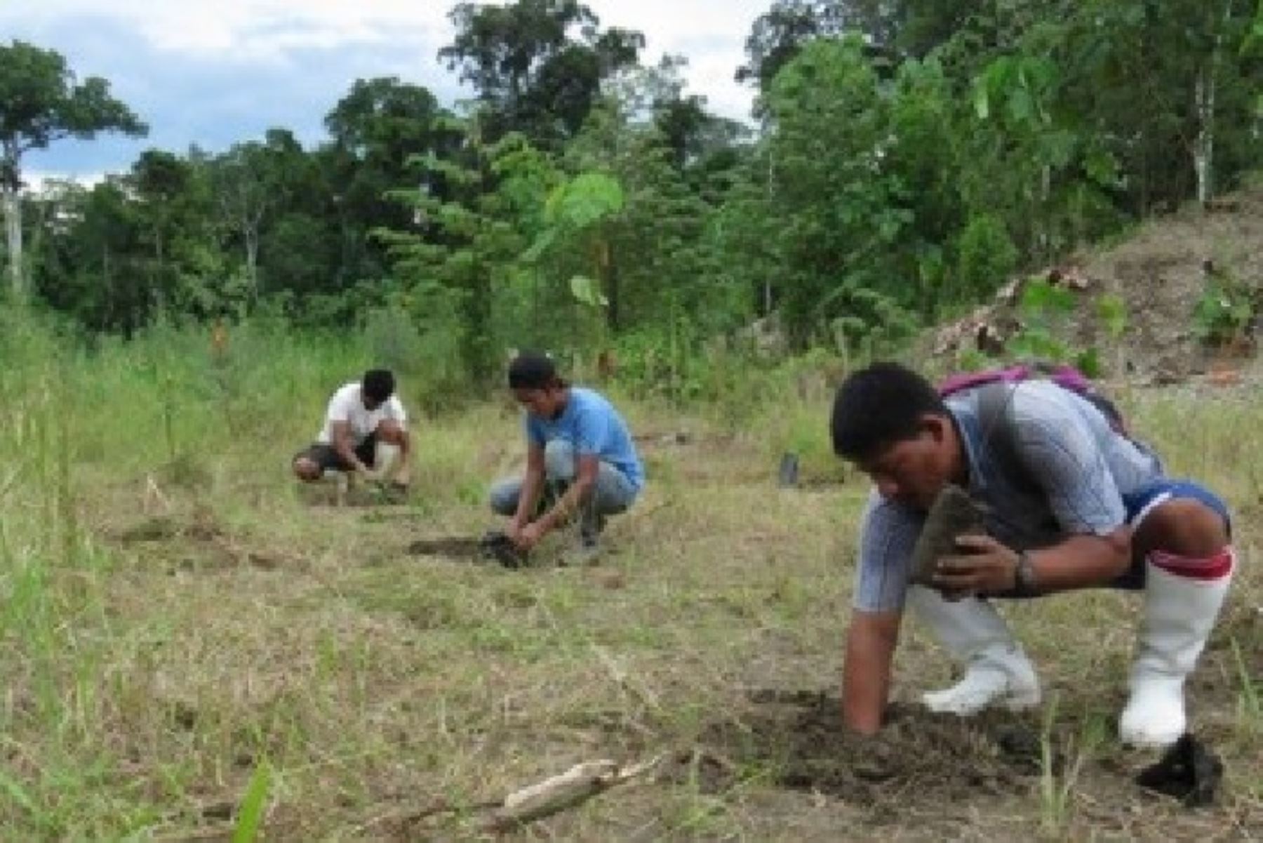 El esfuerzo conjunto de autoridades peruanas y la cooperación internacional, con el valioso apoyo de la tecnología, apunta a recuperar en 2018 un total de 140 hectáreas de bosque degradado, principalmente por la minería ilegal, a través de la reforestación con más de 155,000 árboles en el distrito de Inambari y la provincia de Manu, en la región Madre de Dios.