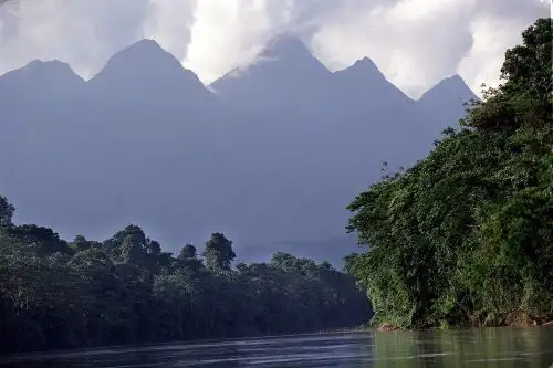 El Parque Nacional Cordillera Azul conserva hábitats amenazados, como los pantanos de altura, comunidades biológicas en roca ácida, bosques esponjosos y bosquecillos enanos. ANDINA/archivo