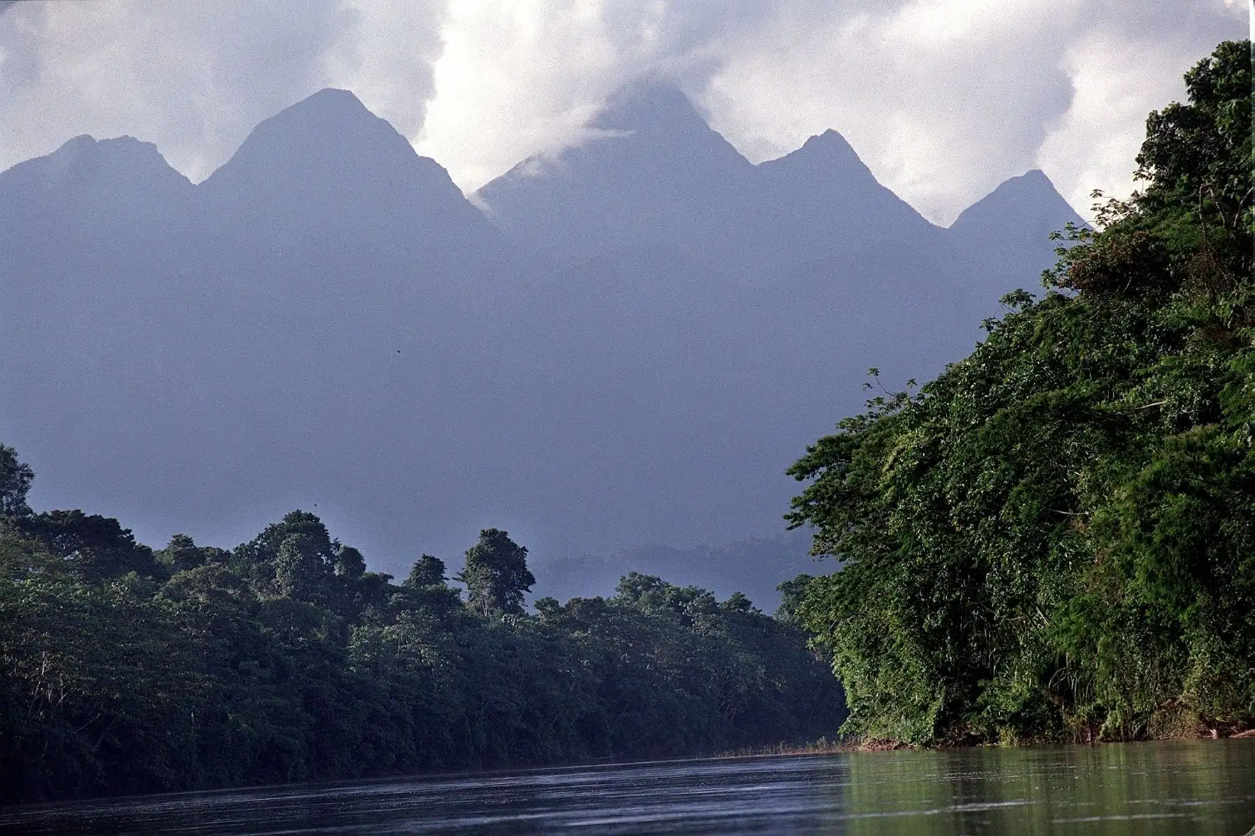 El Parque Nacional Cordillera Azul conserva hábitats amenazados, como los pantanos de altura, comunidades biológicas en roca ácida, bosques esponjosos y bosquecillos enanos. ANDINA/archivo