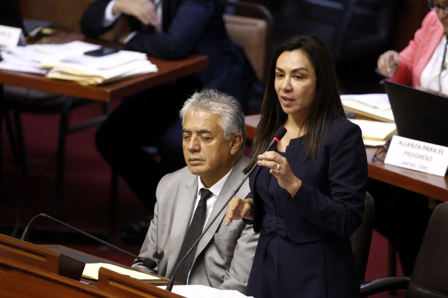 Foto: ANDINA/Eddy Ramos.