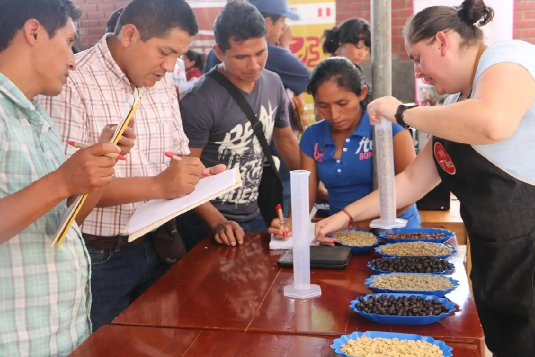 Capacitan en tostado de cafés especiales a productores de Satipo, en Junín. ANDINA/Difusión