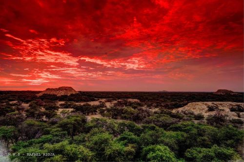 El Santuario Histórico Bosque de Pómac es uno de los principales atractivos turísticos de Lambayeque. ANDINA/Difusión